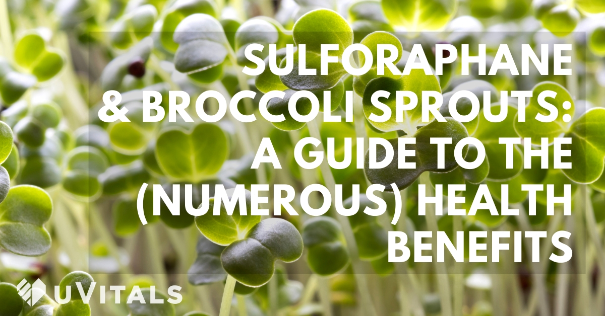 Sulforaphane Guide Broccoli Sprouts, fighting cancer & air pollutants